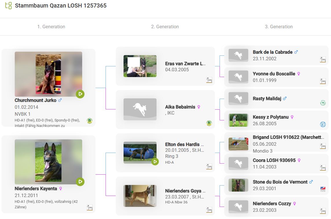 Malinois de la Frisone Liberte - Hundezucht - Hundeprofil