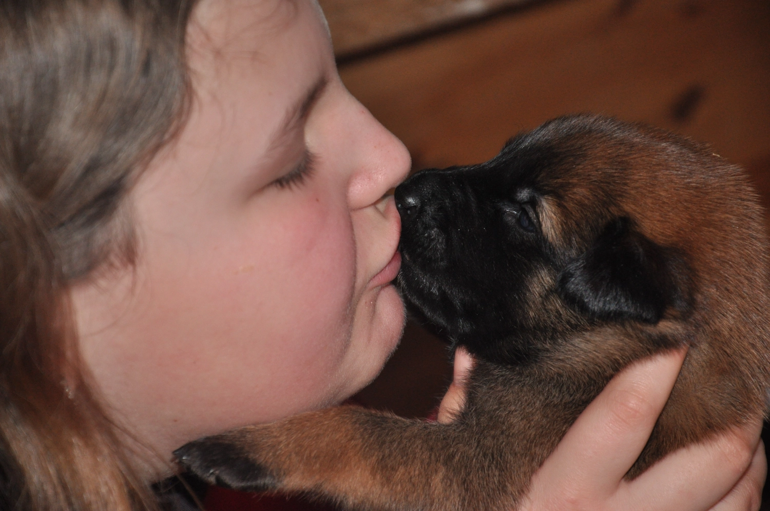 Malinois de la Frisone Liberte - Hundezucht - Welpen