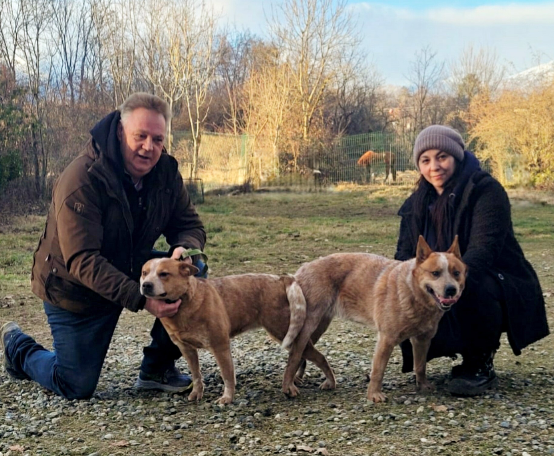 Malinois de la Frisone Liberte - Hundezucht - Hund mit Welpen