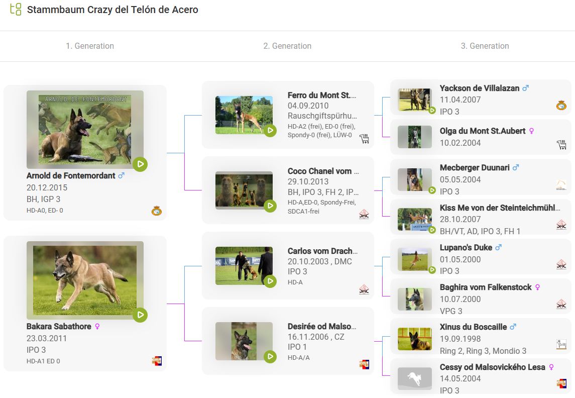 Malinois de la Frisone Liberte - Hundezucht - Zu Crazy`s Working Dog Profil