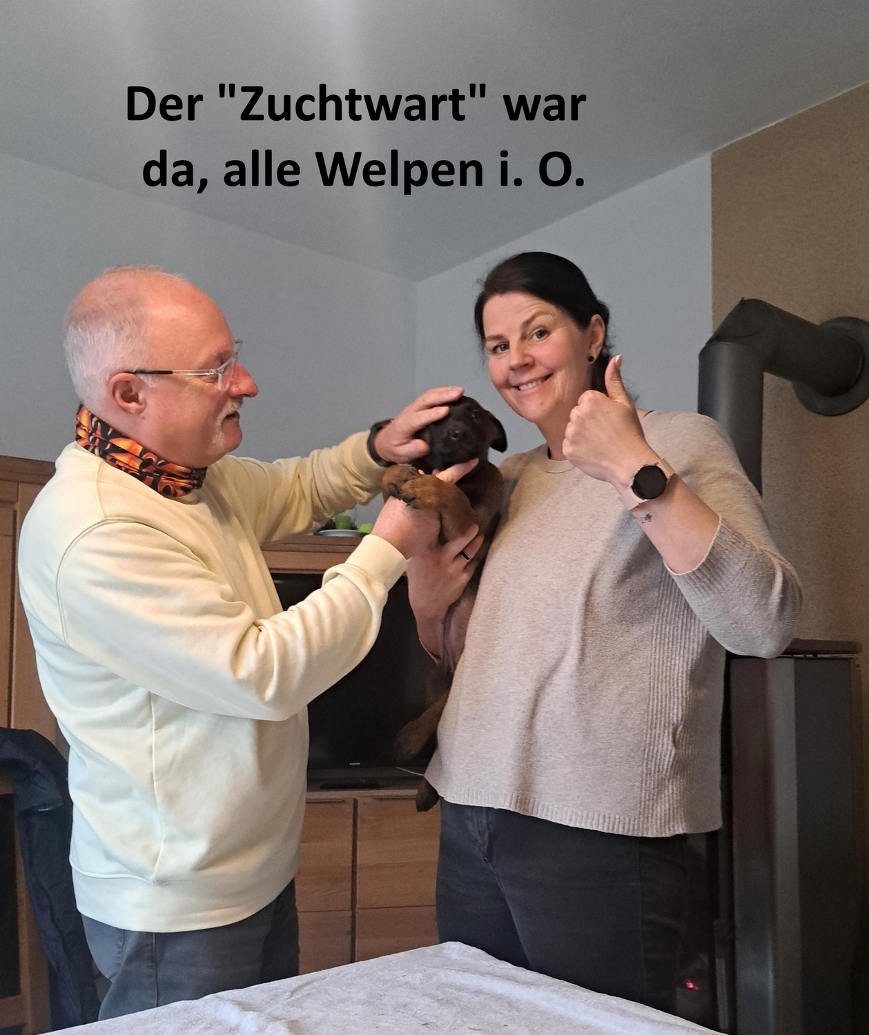 Malinois de la Frisone Liberte - Hundezucht - Welpen